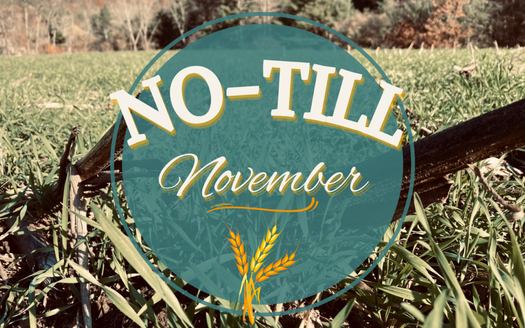 Celebrate no-till November!!