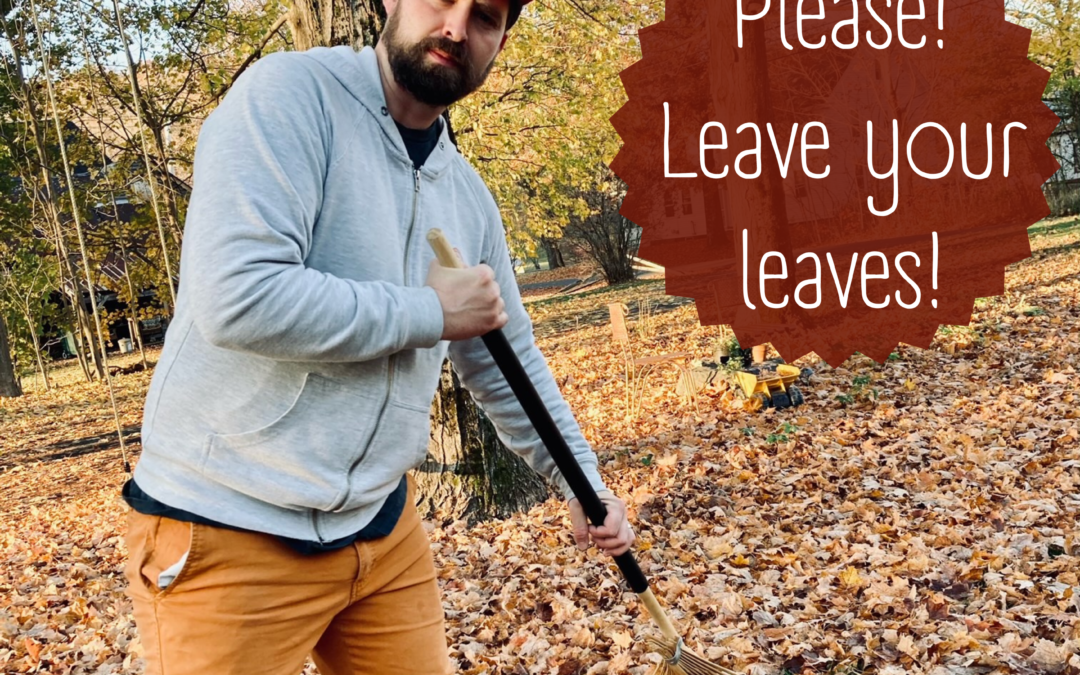 Leave your Leaves!