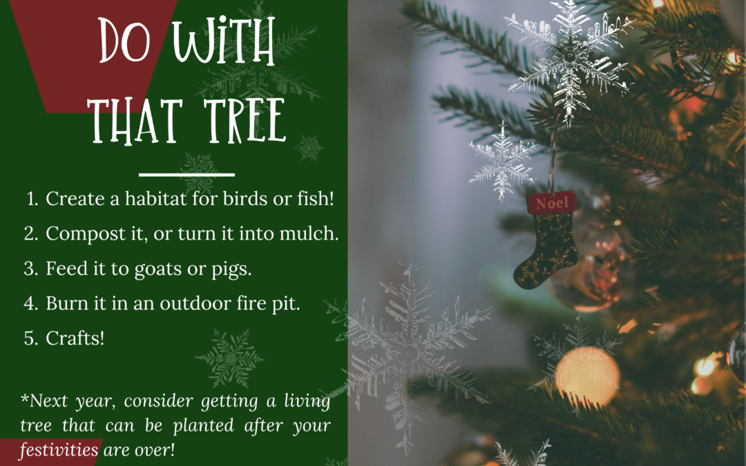 What to do with Your Tree