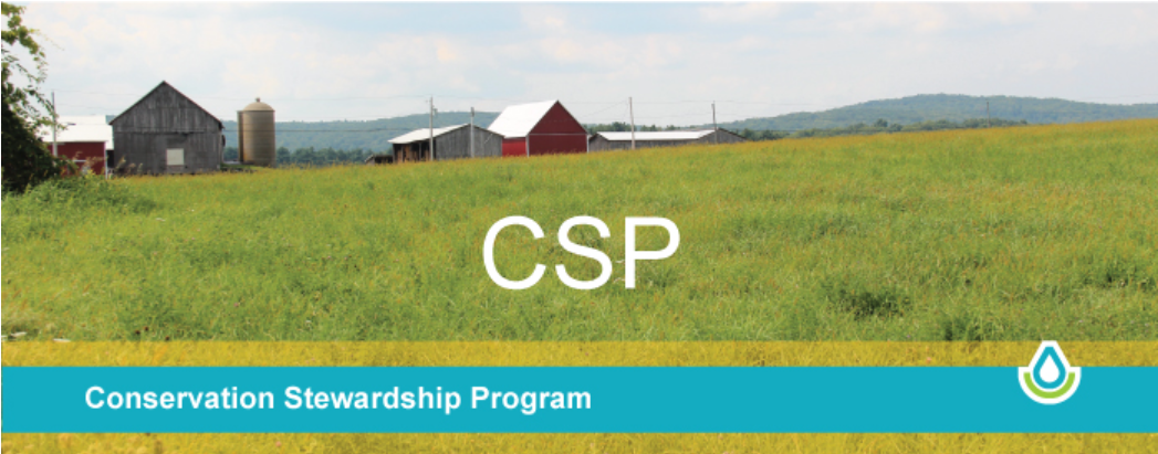 Conservation Stewardship Program (CSP) | Hampden Hampshire Conservation ...